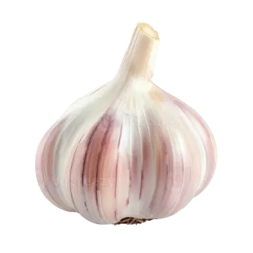 a garlic on a white background