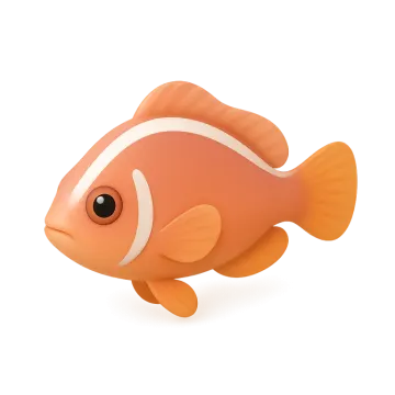 an orange and white fish on a white background