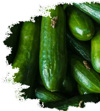 a pile of pickles on a white background