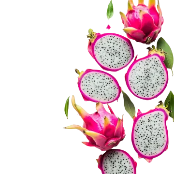 dragon fruit on a white background