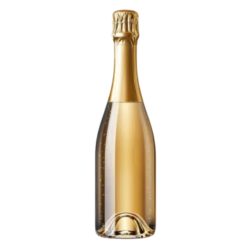 a bottle of champagne on a white background
