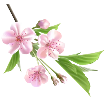 a branch with pink flowers and green leaves