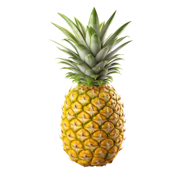 a pineapple on a white background