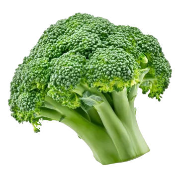 a close up of a head of broccote