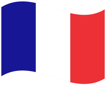 the french flag