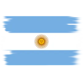 the flag of argentina