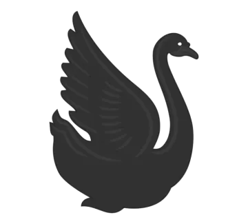 a black swan on a white background