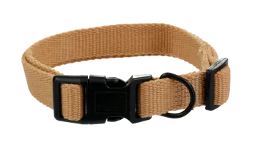 a dog collar on a white background