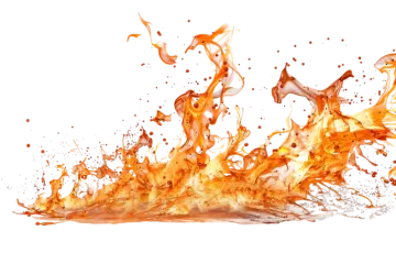 an orange fire on a white background