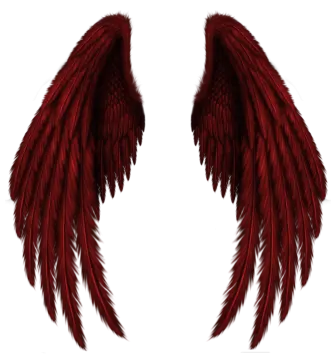 two red wings on a white background