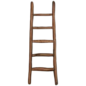 a wooden ladder on a white background