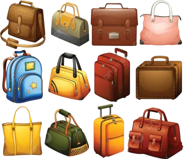 a set of different types of bags