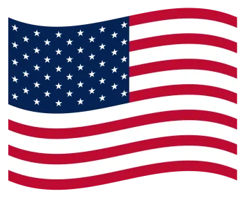 the american flag