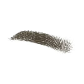 a close up view of a black and white cat tail