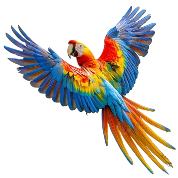 a colorful parrot flying in the air