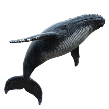 a whale with its mouth open in the air
