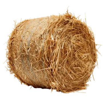 a roll of hay on white background