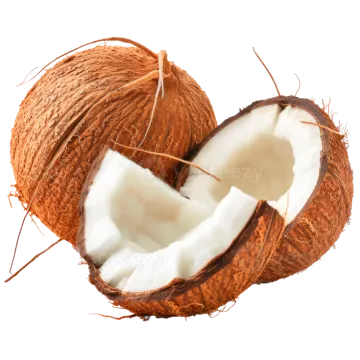 a coconut cut in half on a white background