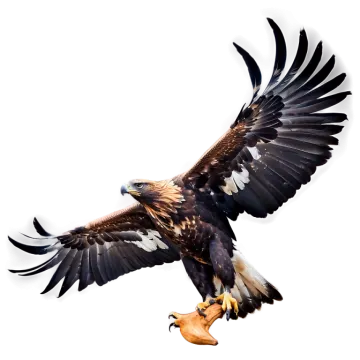 an eagle is flying with its wings spread