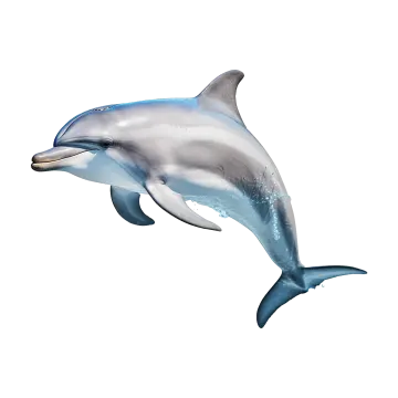 a dolphin jumping in the air on a white background
