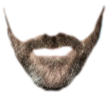 a close up of a beard on a white background
