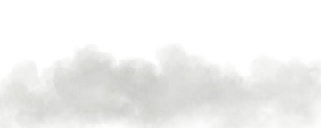 a black and white photo of trees with fog