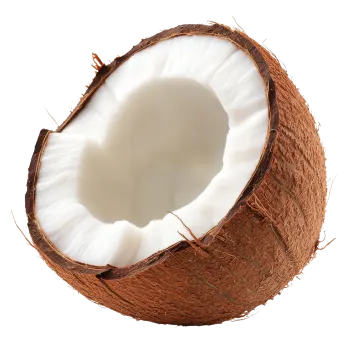 a half of a coconut on a white background