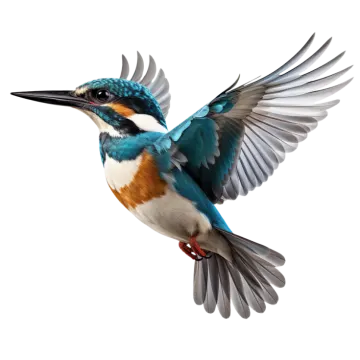 a bird that is flying in the air