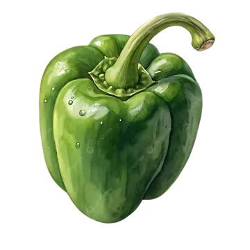 a green bell pepper on a white background