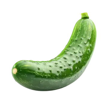 a green pickle on a white background