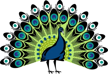 a peacock with blue and green feathers