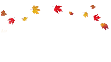 a group of autumn leaves flying in the air