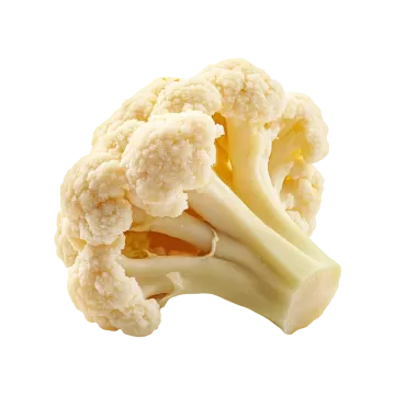 a head of caulide on a white background