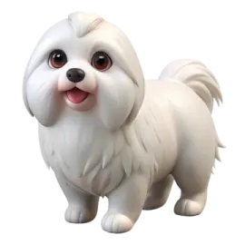 a small white dog with long hair and big eyes
