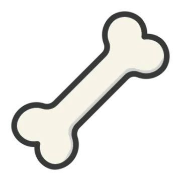 A bone on a white background