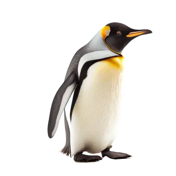 a penguin standing on top of a white surface