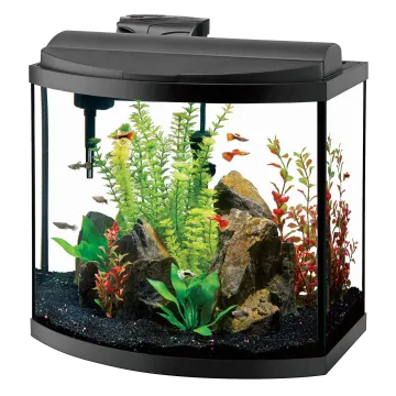 a fish tank filled with plants and rocks