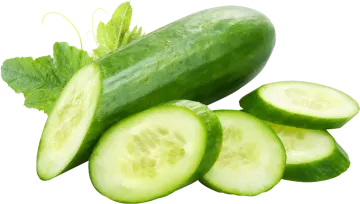 a bunch of sliced cucums with leaves on top