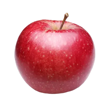 a red apple on a white background