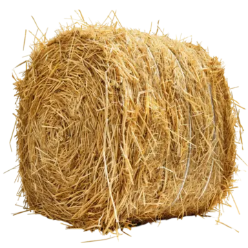 a roll of hay on a white background