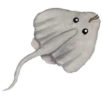 a watercolor drawing of a stingfish