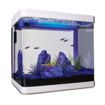 a fish tank filled with water and rocks