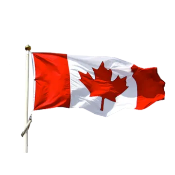 a canadian flag flying in the wind