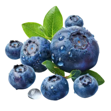 blueberries with leaves on white background