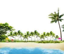 a beach with palm trees and blue water