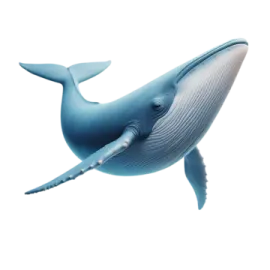 a blue whale swimming in the ocean