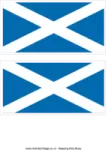 the scottish flag is shown in blue and white