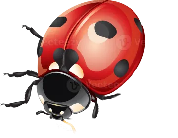 a lady bug with black spots on its back