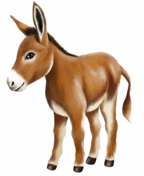 a small donkey standing on a white background