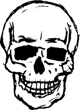 a black and white drawing of a skull
